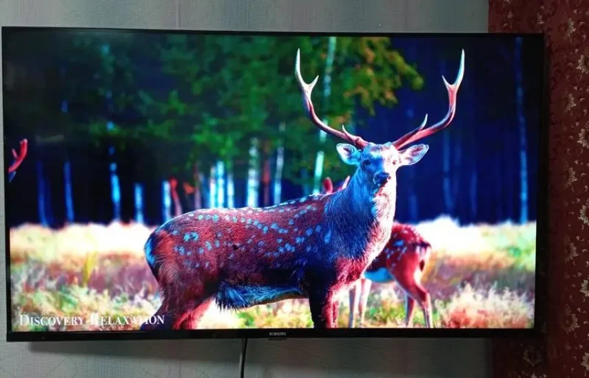 LCD (ЖК) панель 4К 55 дюймов (140 см)